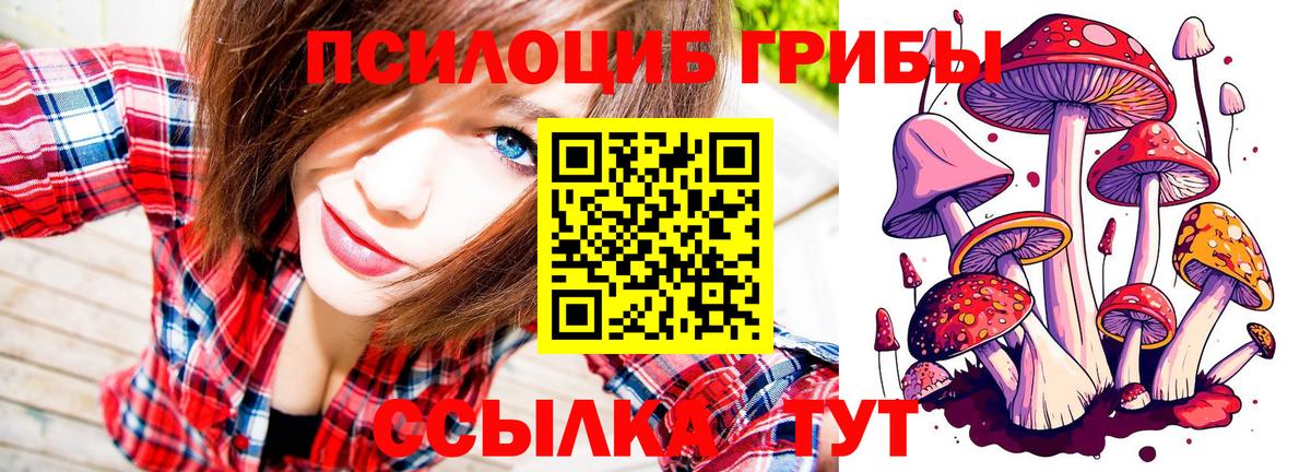 Псилоцибиновые грибы мицелий Жигулёвск
