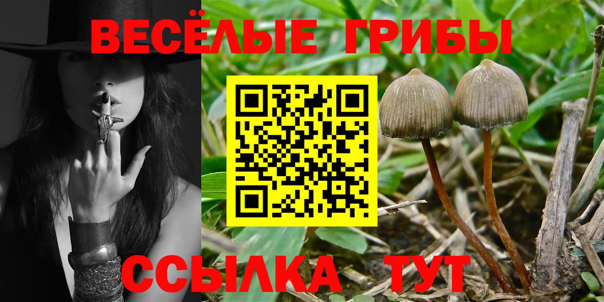 Жигулёвск  где купить наркотик  Вход с VPN  Псилоцибиновые грибы мухоморы 